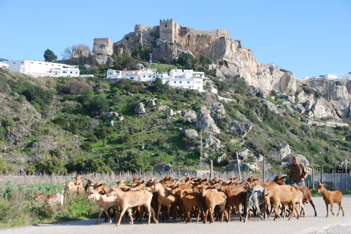 moorish-castle-of-salobrena.jpg