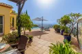 Großzügige Terrasse, dekoriert mit tropischen Pflanzen